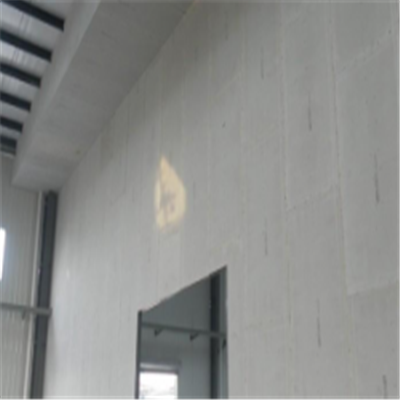 忻城新型建筑材料掺多种工业废渣的ALC|ACC|FPS模块板材轻质隔墙板